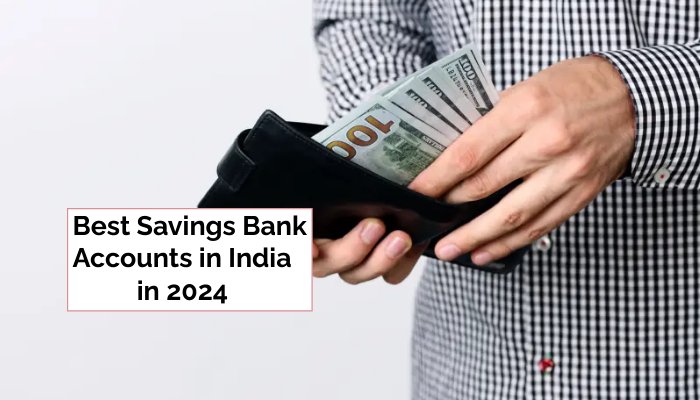 Best Savings Bank Accounts in India in 2024